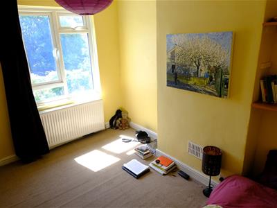 Picture 13